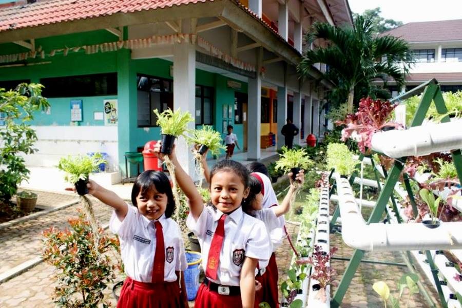 SDT Krida Nusantara: Minuman Sehat dari Olahan Tanaman 