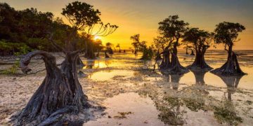 5 Destinasi Wisata yang Wajib Kamu Kunjungi di Provinsi Jakarta