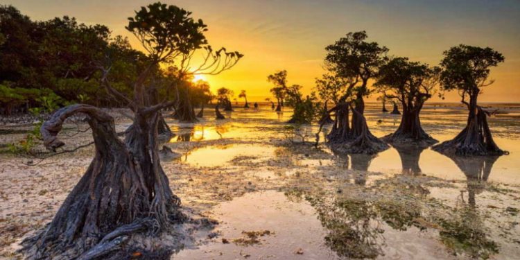 5 Destinasi Wisata yang Wajib Kamu Kunjungi di Provinsi Jakarta