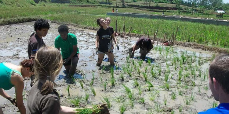 membuat tempat wisata di desa