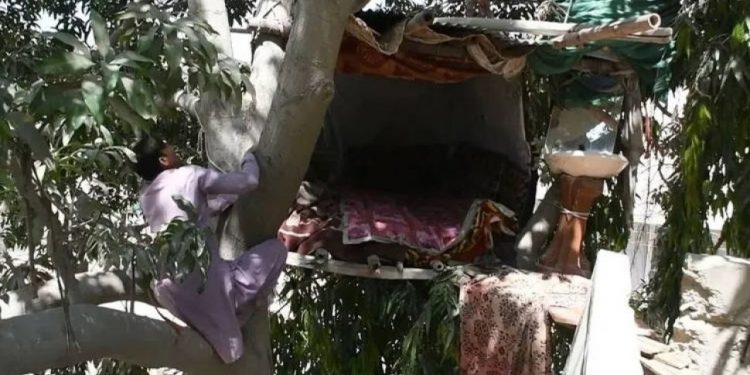 Seorang pria yang memutuskan tinggal di pohon.